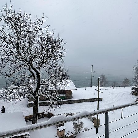 Lake View Residence Niederried bei Interlaken Kültér fotó