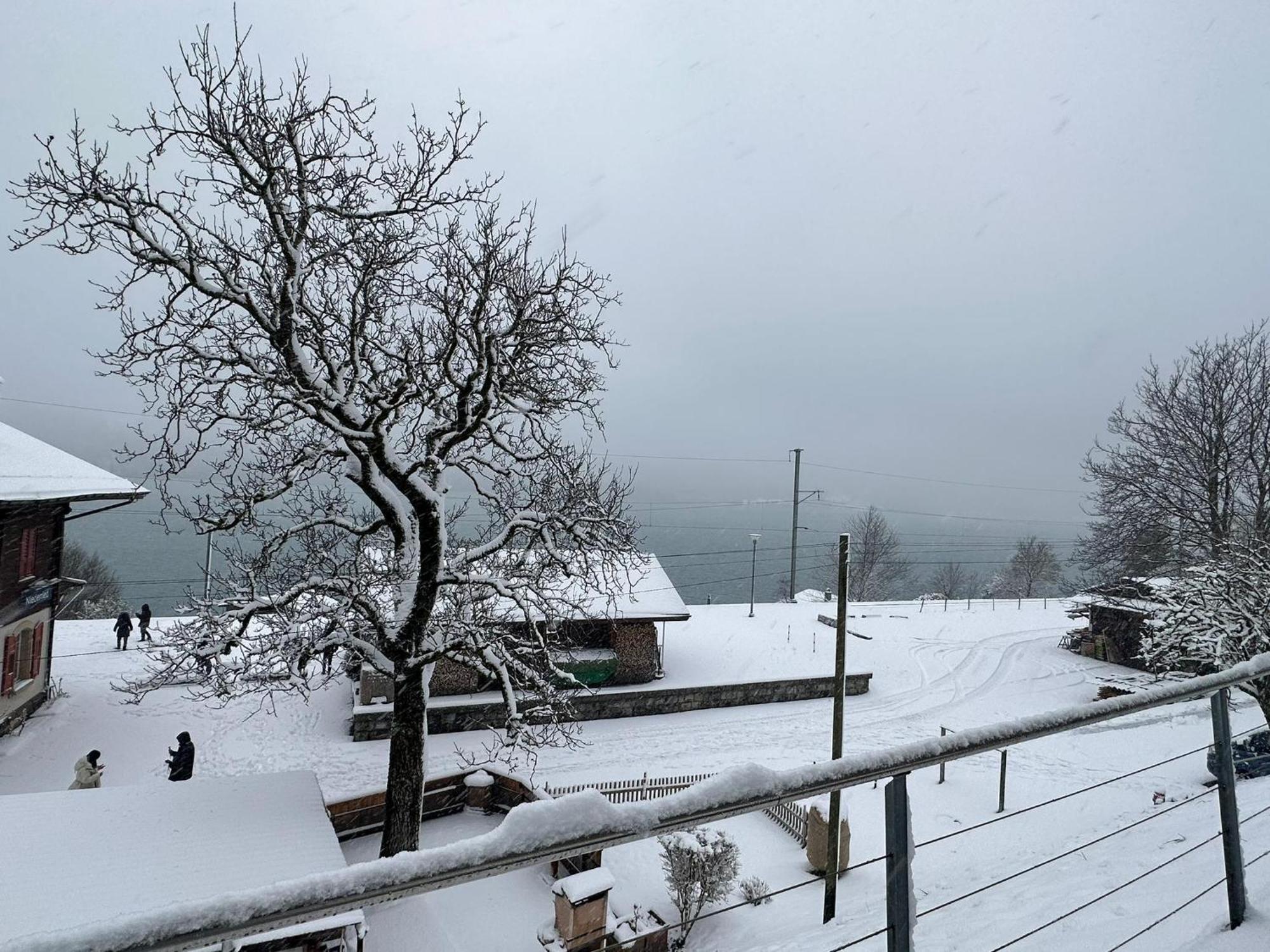 Lake View Residence Niederried bei Interlaken Kültér fotó