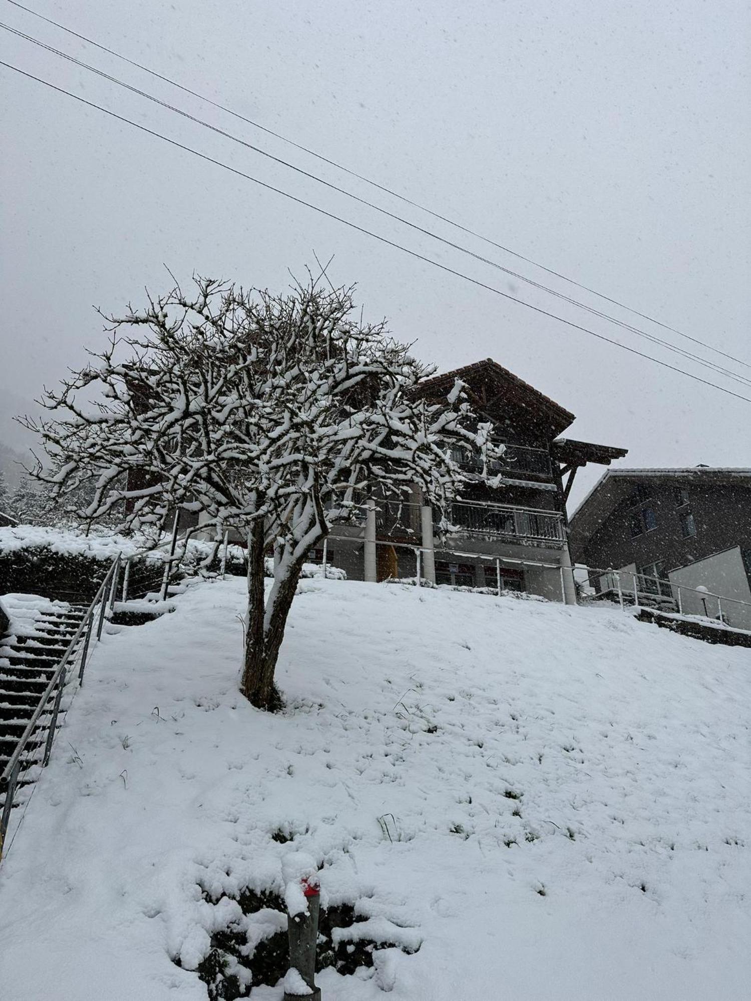Lake View Residence Niederried bei Interlaken Kültér fotó
